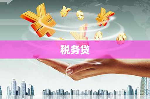 咸安税务贷