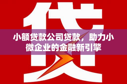 咸安小额贷款公司贷款，助力小微企业的金融新引擎