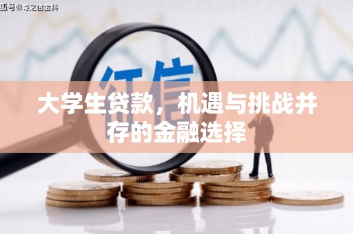 咸安大学生贷款，机遇与挑战并存的金融选择