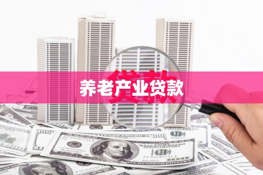 咸安养老产业贷款