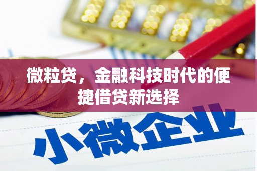 咸安微粒贷，金融科技时代的便捷借贷新选择