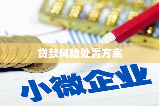 咸安贷款风险处置方案